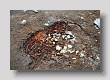 LANDMANNALAUGAR 12